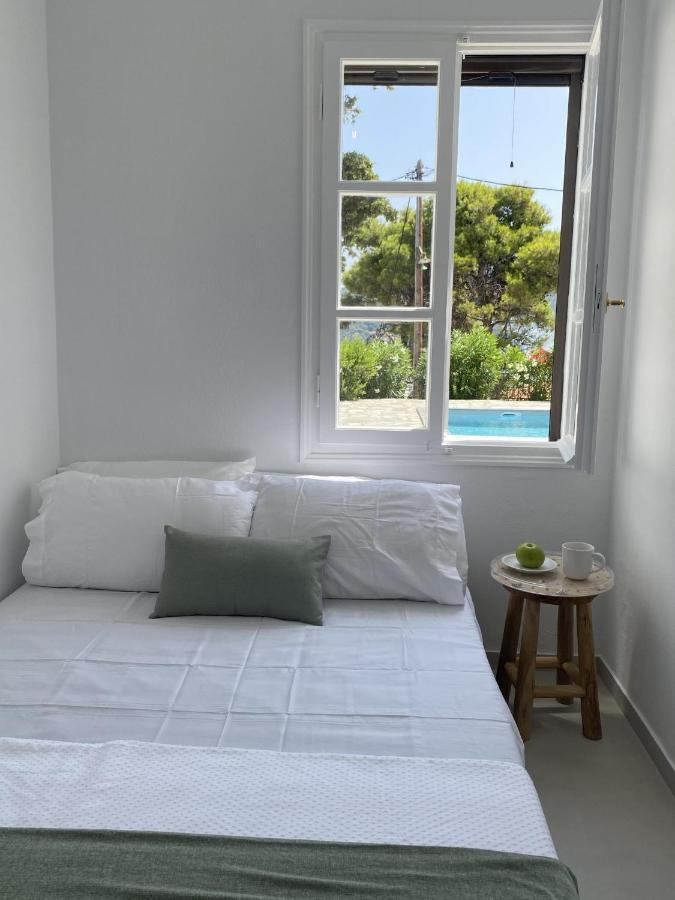 Villa Icelle Skopelos Town Sea View Swimming Pool Exterior foto